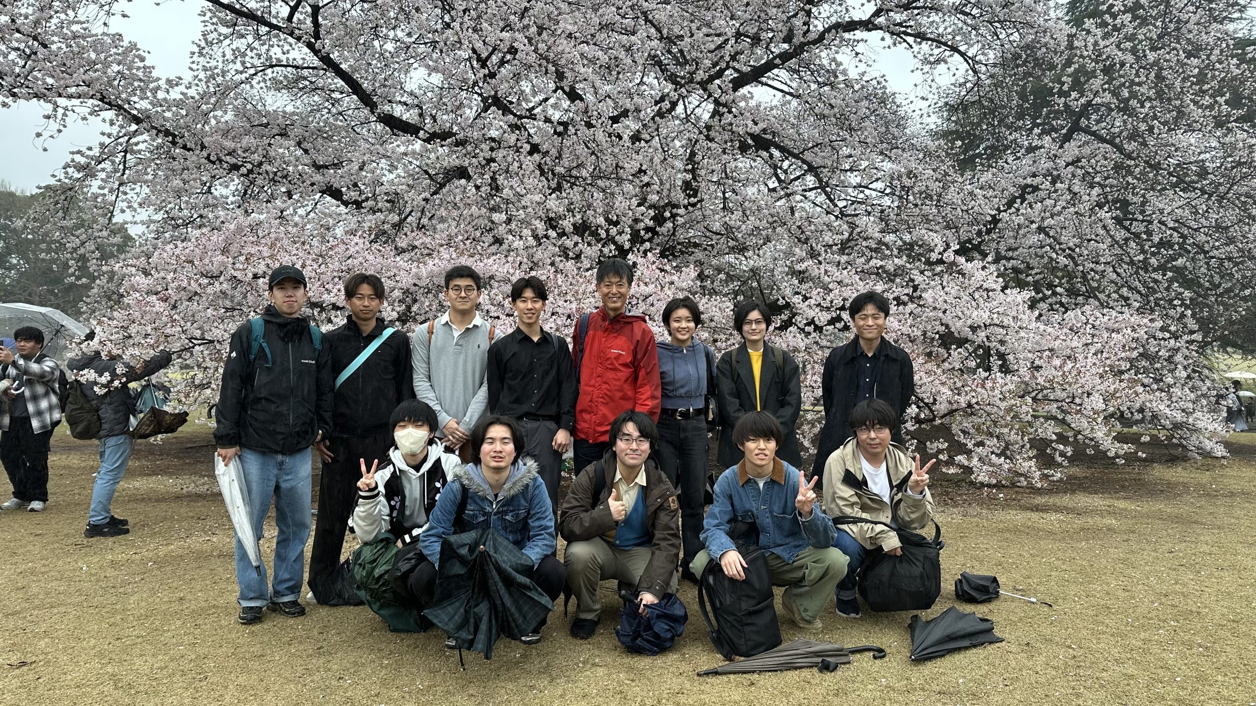 2026年3月31日 お花見
