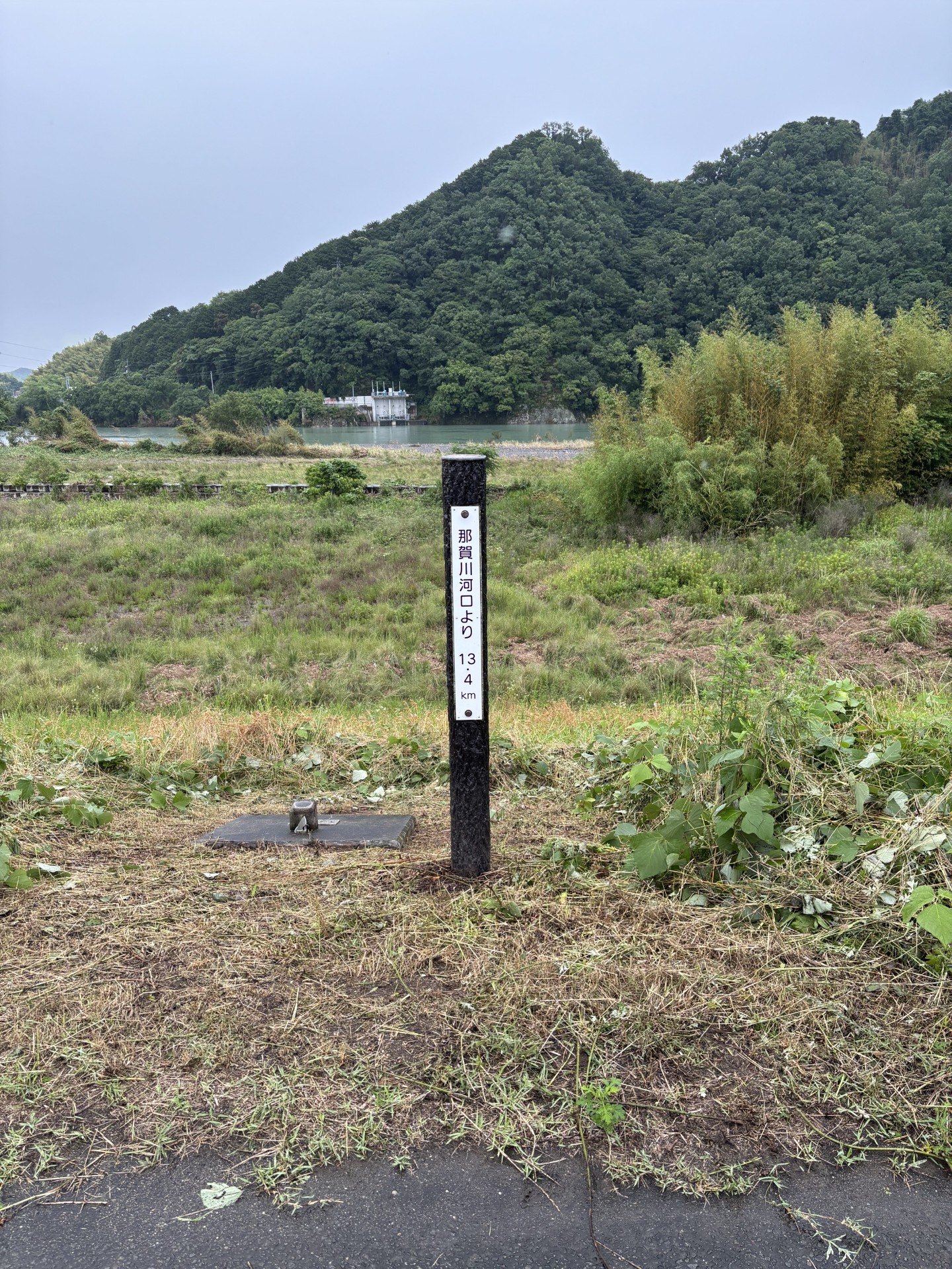 那賀川流域における現地調査報告